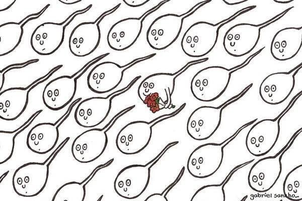 spermatozoa in motion funny comic art with one holding bouquet of flowers