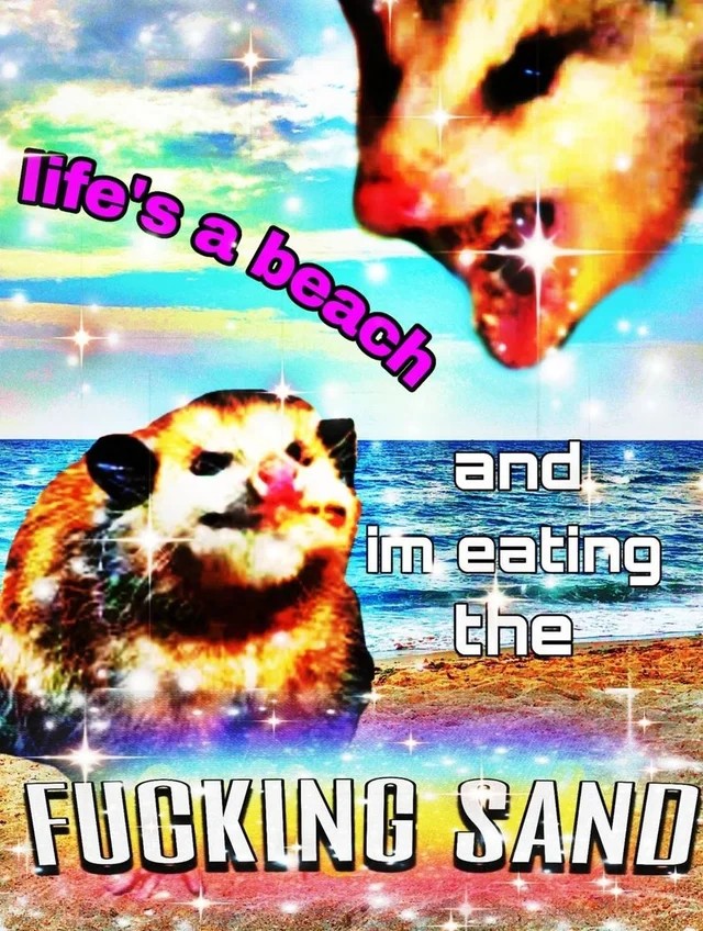Opposum shouting inside, "Life is a beach, and I am eating the fucking sand."