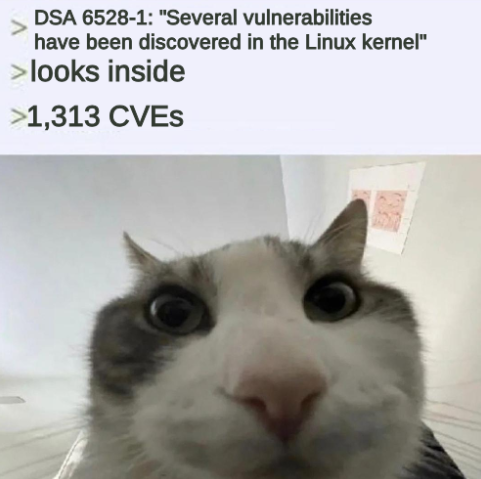 cat looks inside meme template: DSA 6528-1: "Several vulnerabilities have been discovered in the Linux kernel" / looks inside / 1,313 CVEs