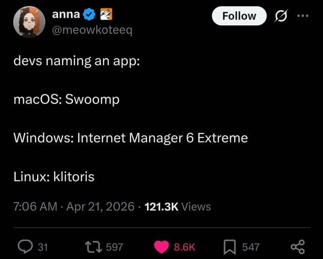 devs naming an app:

macOS: Swoomp

Windows: Internet Manager 6 Extreme

Linux: klitoris