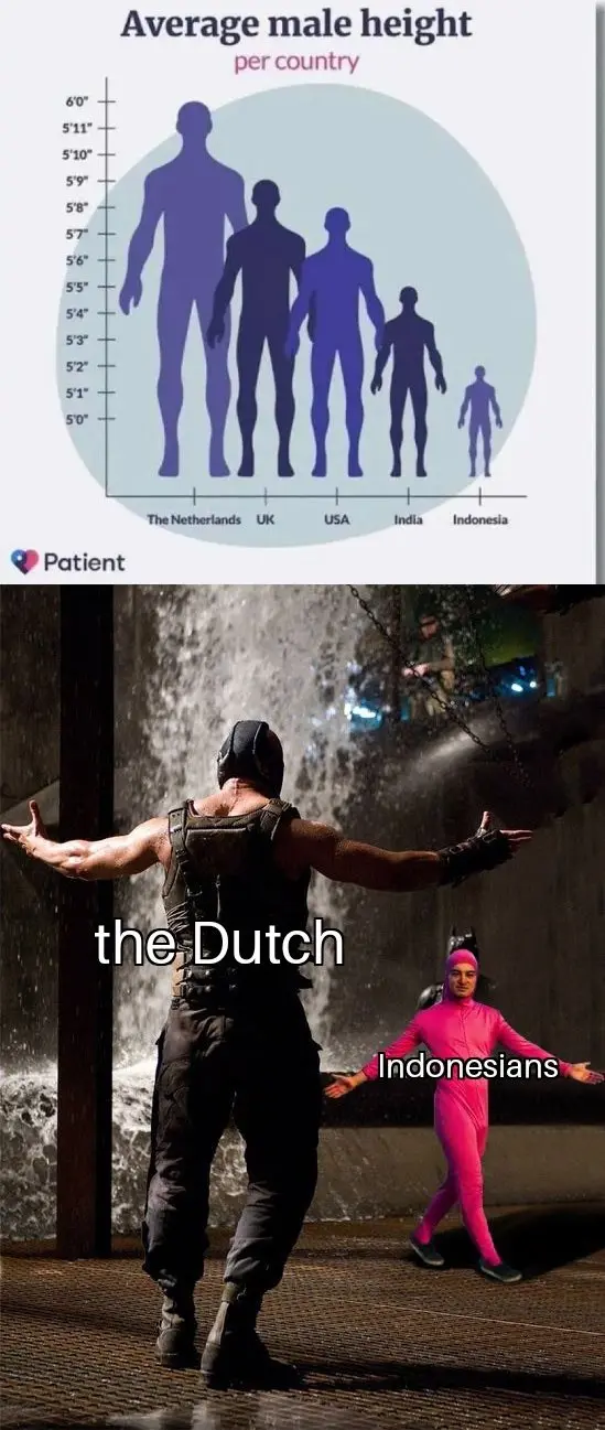 Chart showing average height, but incorrectly scales the entire person instead of just the height, with the Netherlands as the tallest and Indonesians as the shortest. Bottom image is the Bane vs. Pink guy meme showing Bane as the Dutch and Pink guy as the Indonesians. 