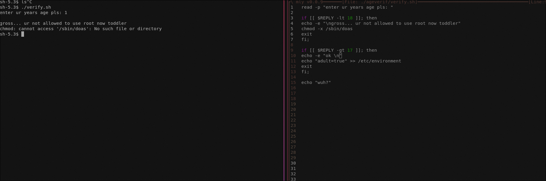 a system-wide age verification implementation that probably only works with systemd
