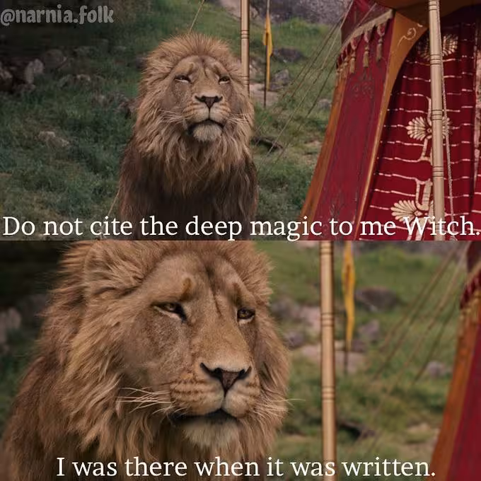 Two panel meme from narnia where the lion says: "Do not cite the deep magic to me Witch.
I was there when it was written."