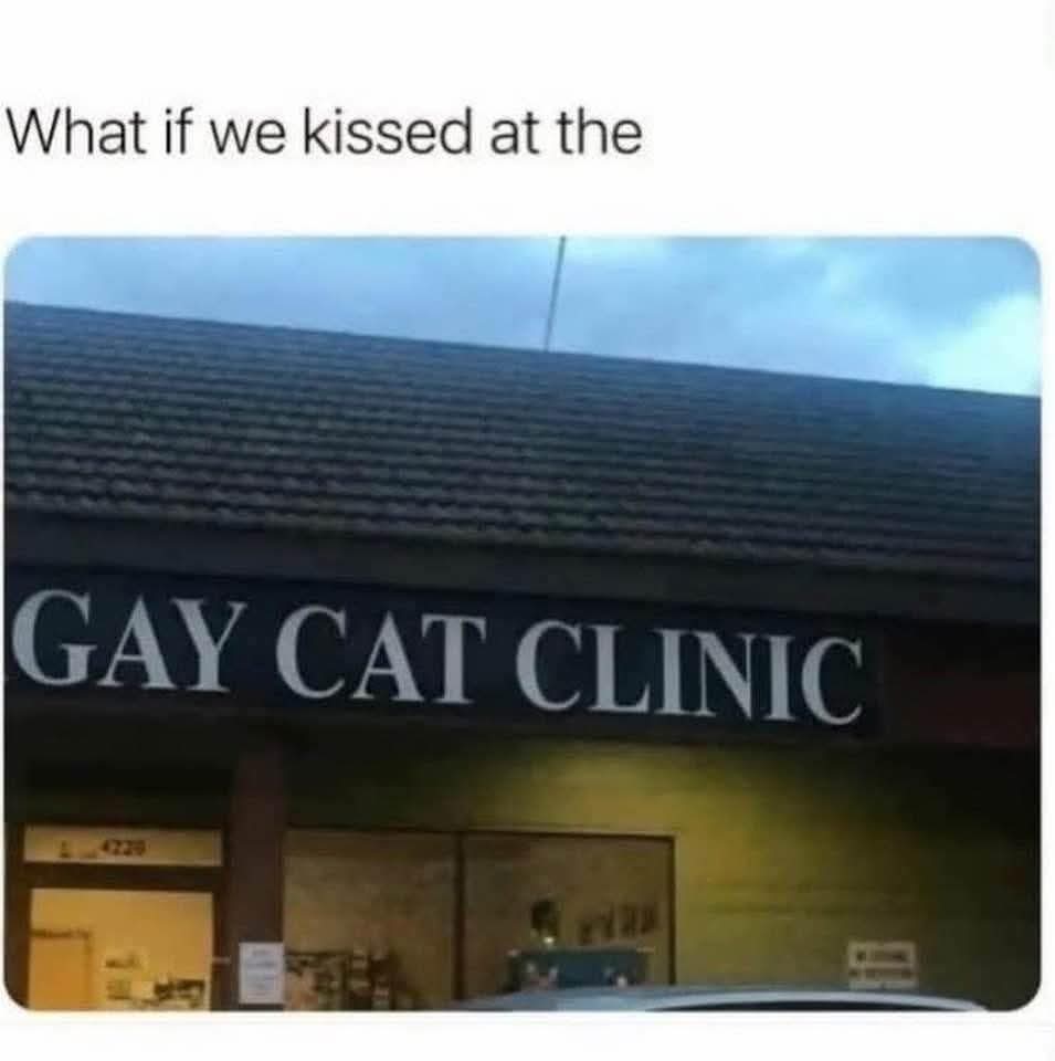 What if we kissed at the

GAY CAT CLINIC