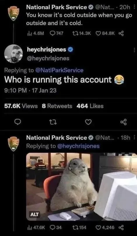 Microblog post by a National Park Service: "You know it's cold outside when you go outside and it's cold.". Reply: "Who is running this account 😂". Reply by National Park Service is a picture of Capybara looking animal in front of a computer with a headset