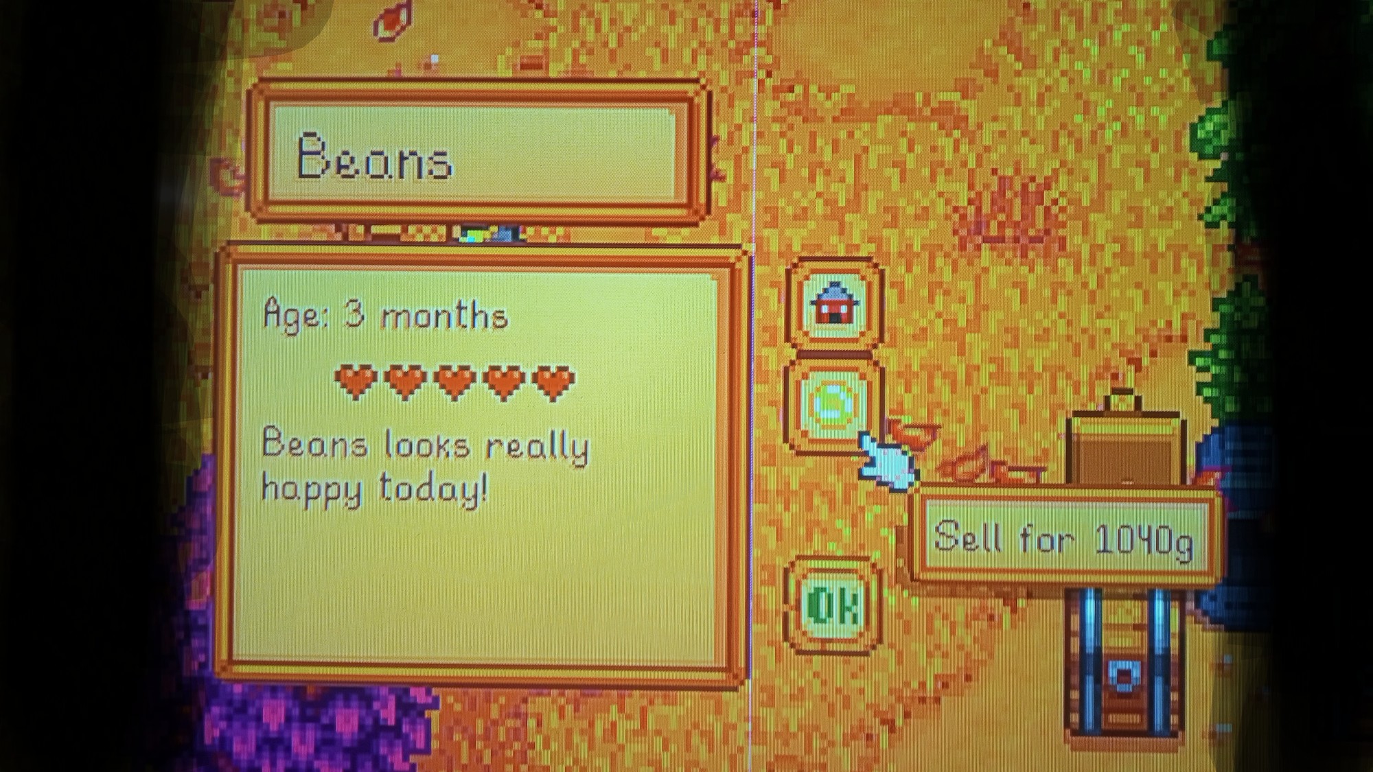 Side Bar Bean Herder