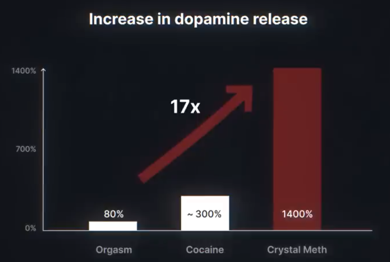 Increase in dopamine in case of: Orgasm (80%), Cocaine (300%), Crystal Meth (1400%)