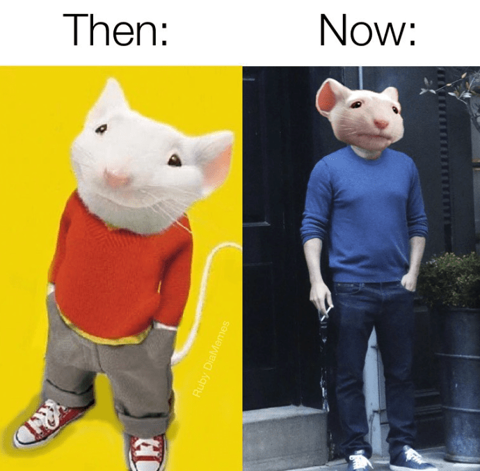 compare