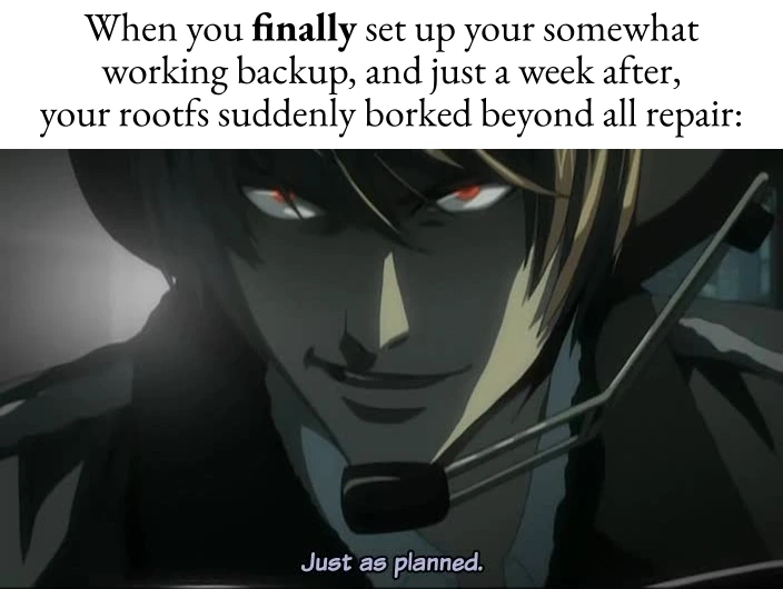 When you finally set up your somewhat working backup, and just a week after, your rootfs suddenly borked beyond all repair: *Just as planned*