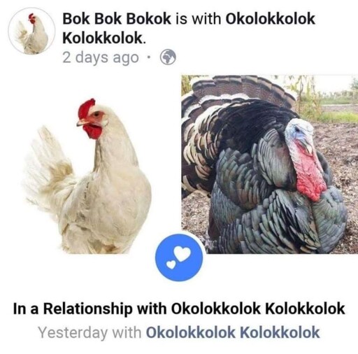 Facebook relationship status: "Bok Bok Bokok is with Okolokkolok". Picture of a chicken and a turkey
