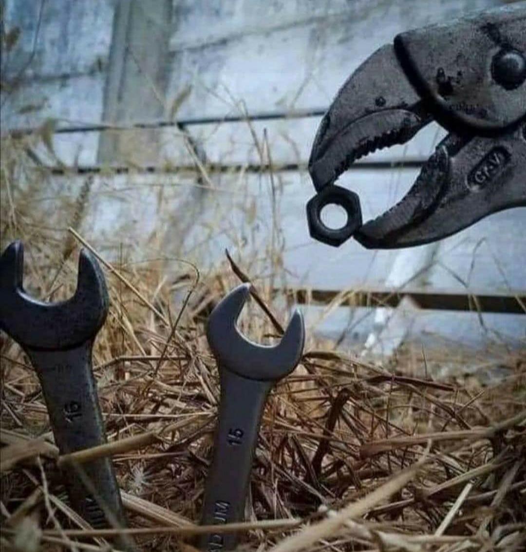 This is a rare photo of a mother vise-grip feeding her baby wrenches. Nature really is amazing.
