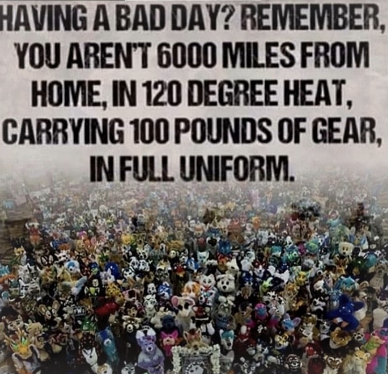 Having a bad day? Remember, you aren't 6000 miles from home, in 120 degree heat, carrying 100 pounds of gear, in full uniform. The picture is a fuckton of fursuiters at a con.