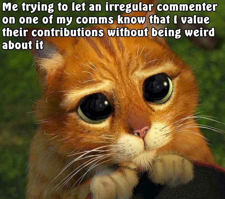 "Thank you for being a part of the community 🥺"