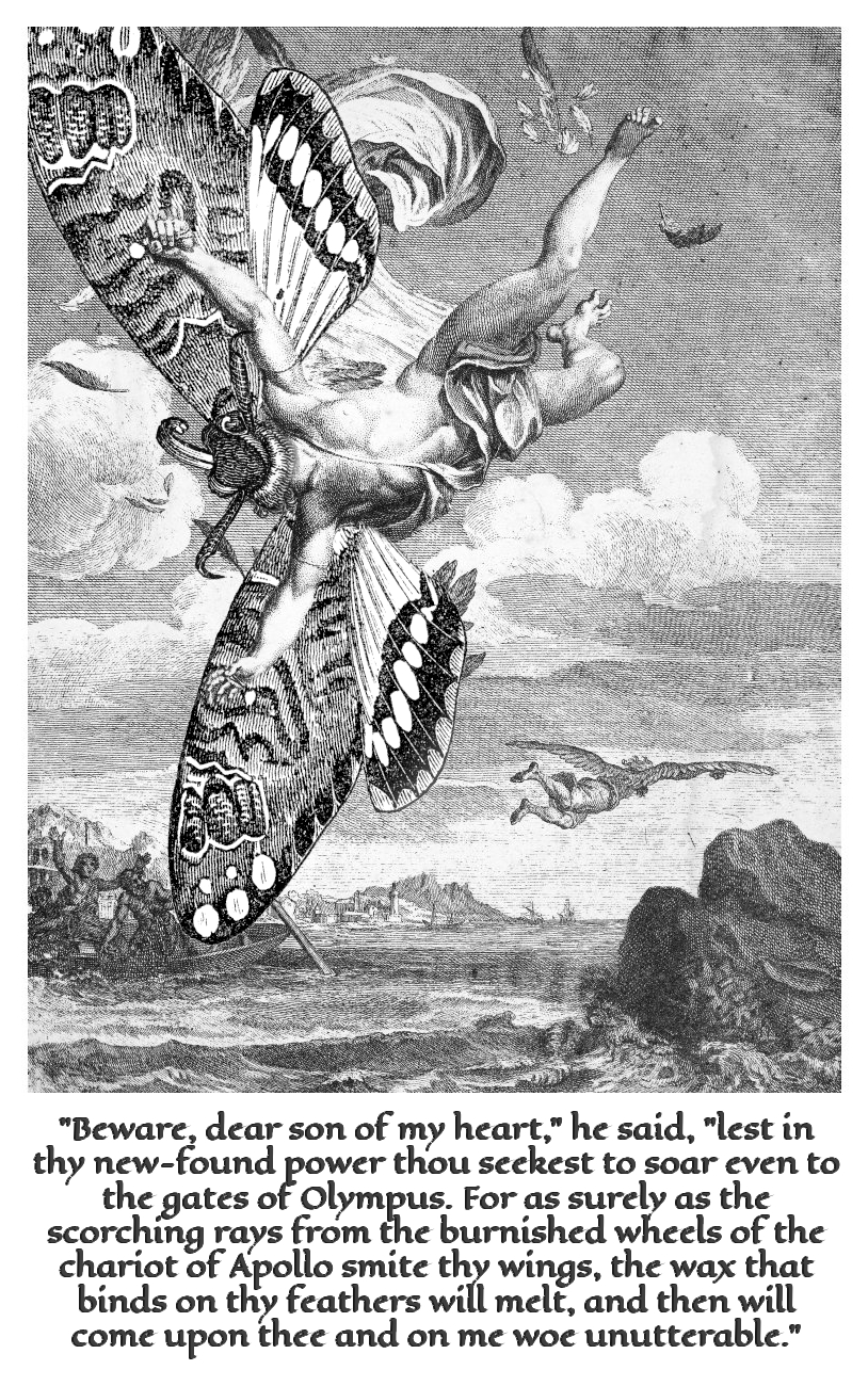 The collage of the engraiving 'The Fall of Icarus' with moth's wings and head edited in.