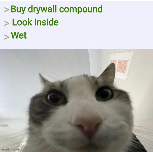anon patches a hole