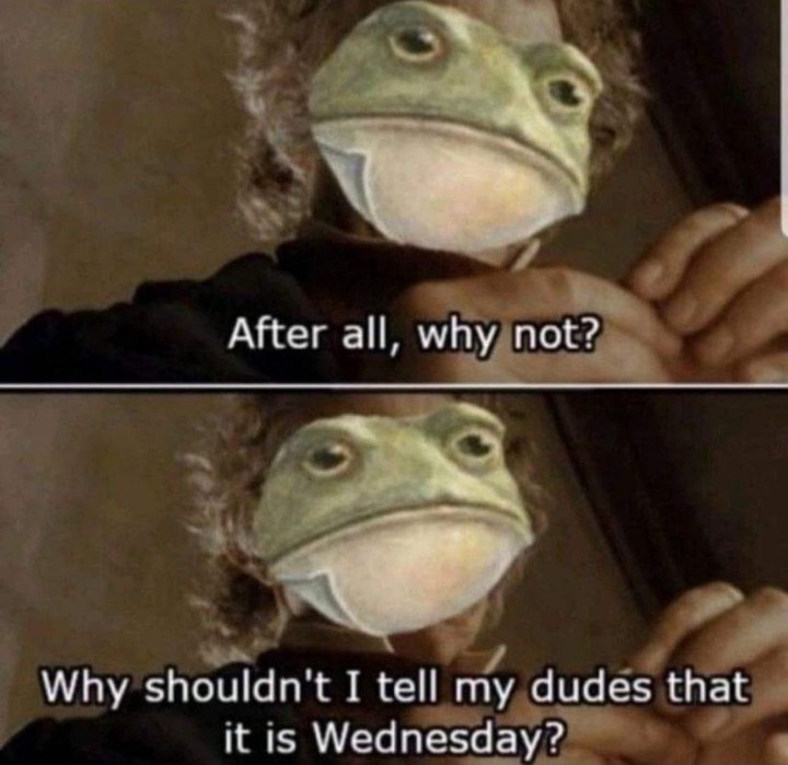 it is Wednesday my dudes 