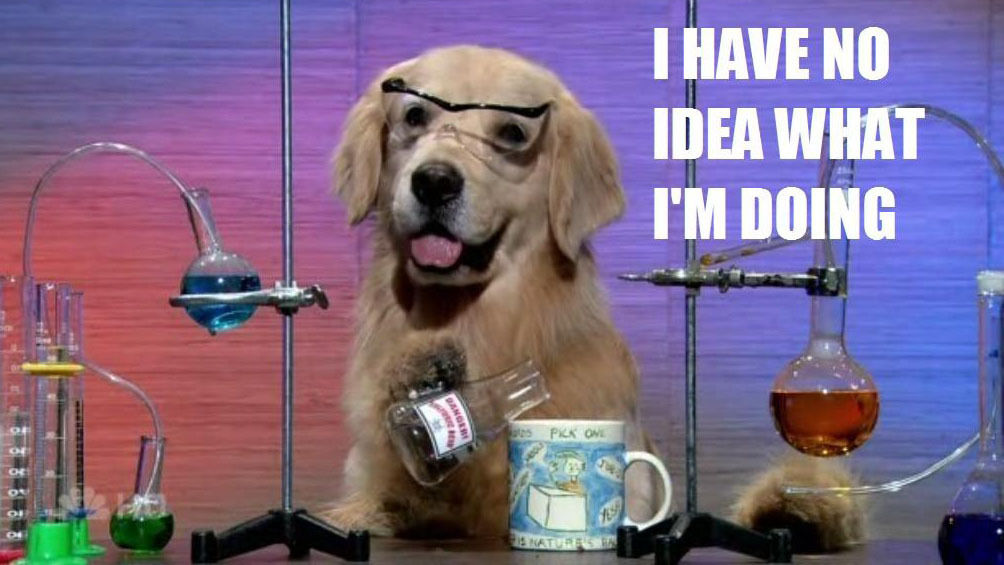 Meme showing a golden retriever in a lab, pouring from an Erlenmeyer flask into coffee cup, with the text "I have no idea what I'm doing"., 