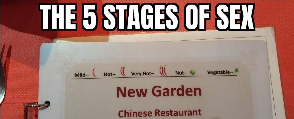 The 5 stages