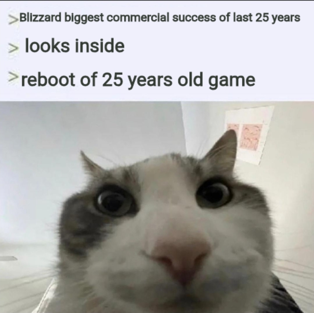 Cat look into the gaming business