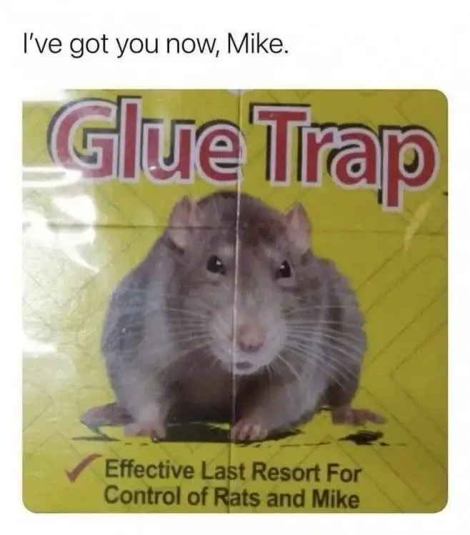 The packaging of a product: it says "Glue Trap", there's a picture of a rat, and it says "Effective Last Resort for Control of Rats and Mike". The meme is captioned "I've got you now, Mike.".