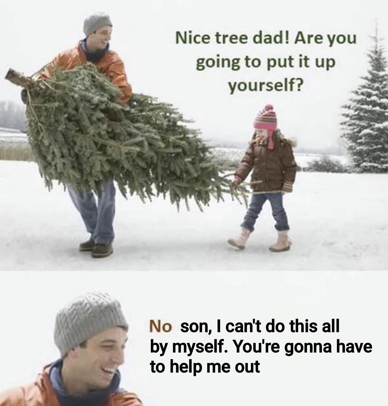 Nice tree