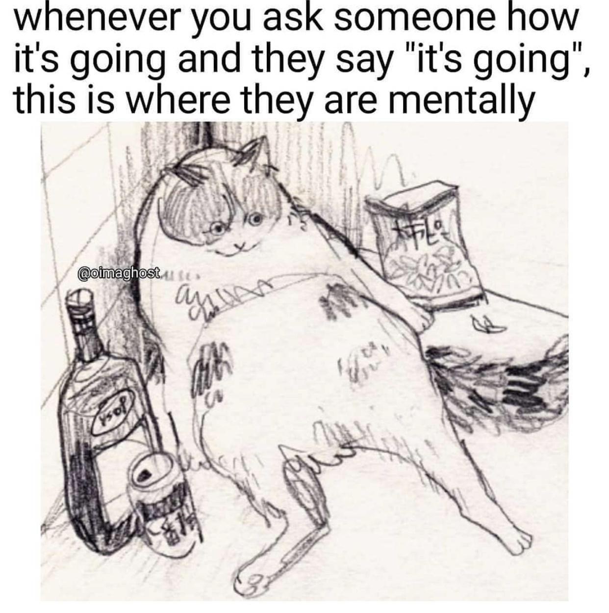 whenever you ask how they are and they say It's going, they are here mentally.  depicted is a fat kitty next to liquor bottles and junk food
